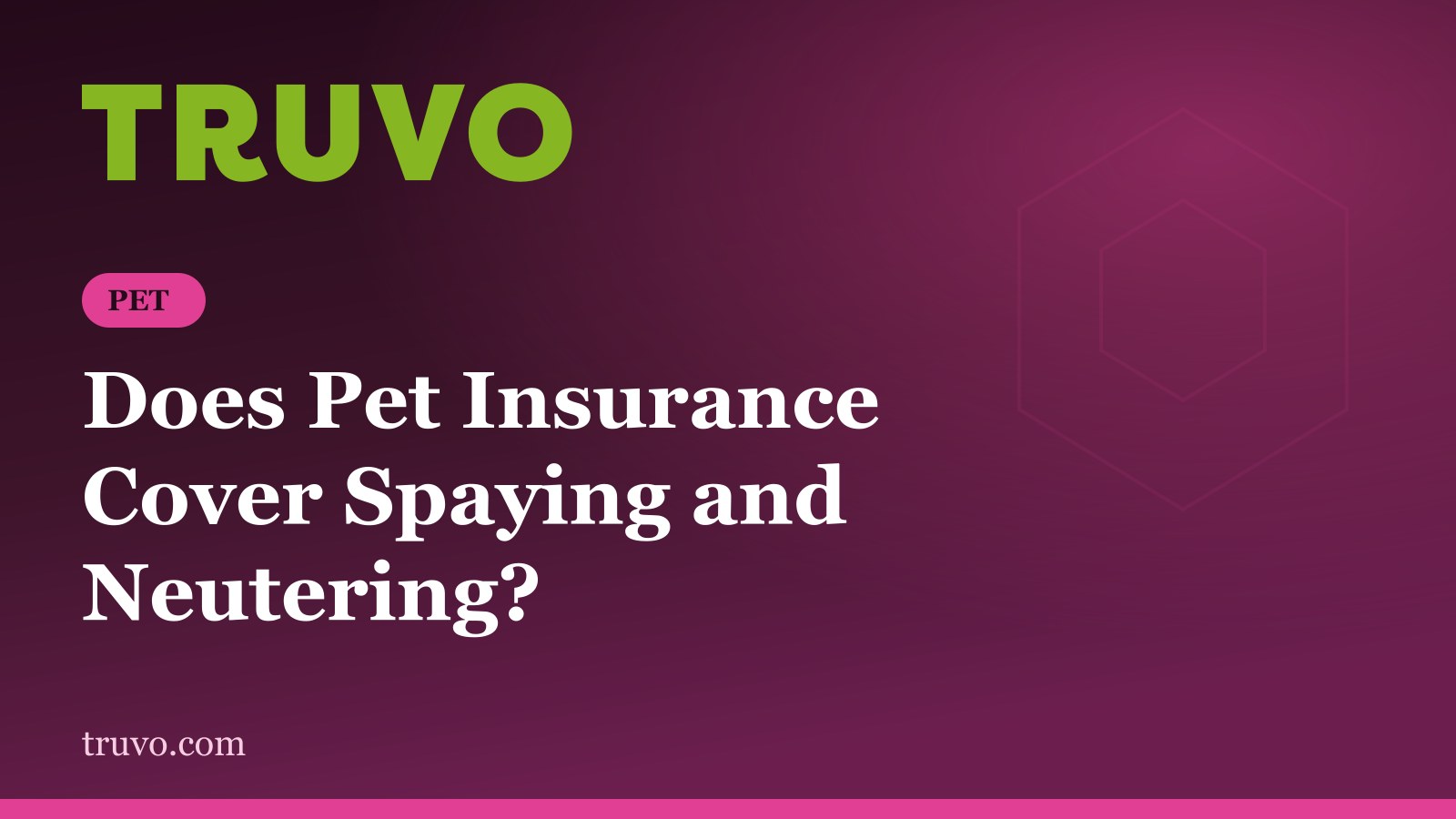 Does Pet Insurance Cover Spaying and Neutering?