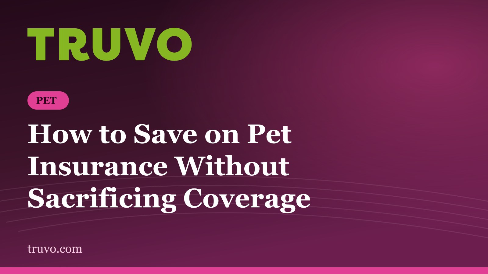 How to Save on Pet Insurance Without Sacrificing Coverage