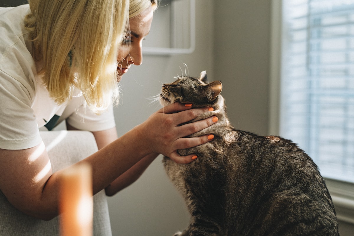 Pet Insurance Claim Process: How to File and Get Paid Faster