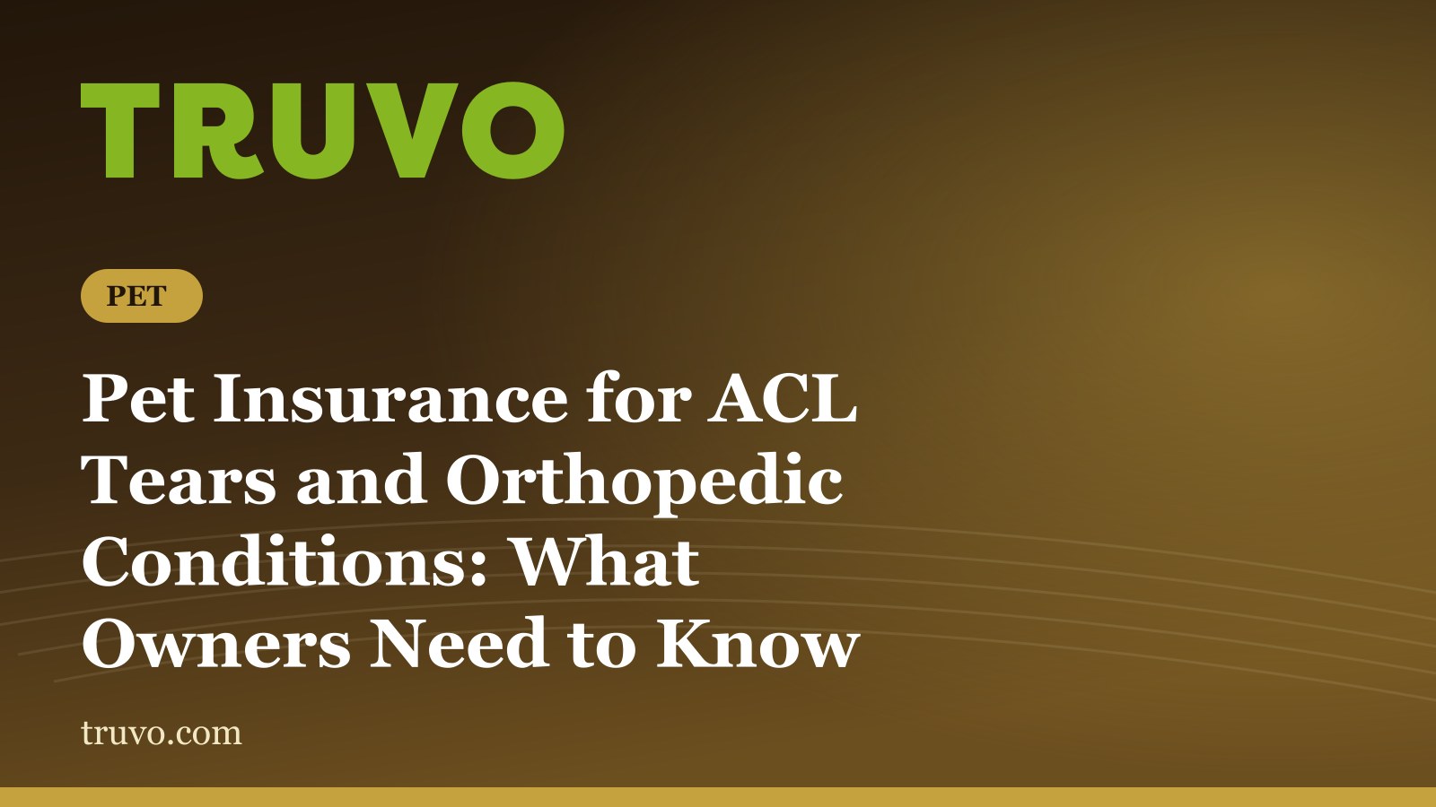 Pet Insurance for ACL Tears and Orthopedic Conditions: What Owners Need to Know
