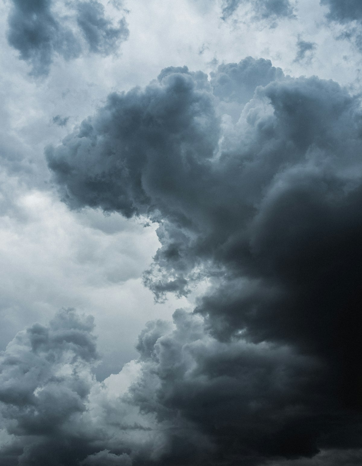 Who Actually Needs Umbrella Insurance? A Realistic Guide