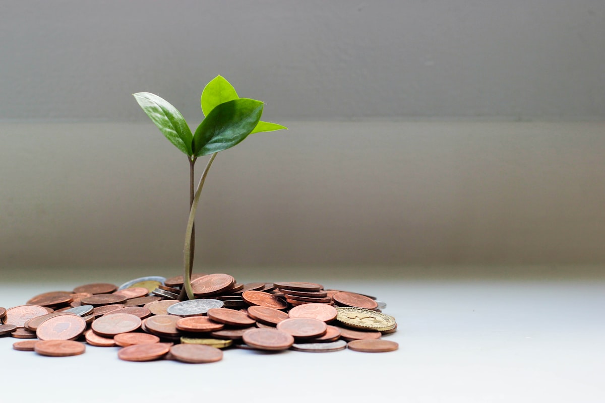 Why Your Car Insurance Goes Up Even When Nothing Changed